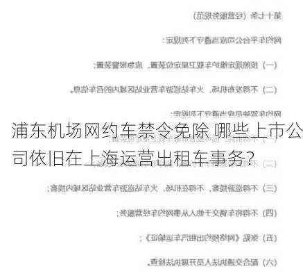 浦东机场网约车禁令免除 哪些上市公司依旧在上海运营出租车事务？-第3张图片-