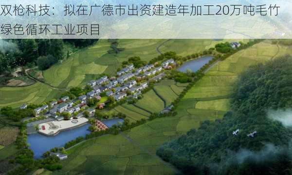 双枪科技：拟在广德市出资建造年加工20万吨毛竹绿色循环工业项目