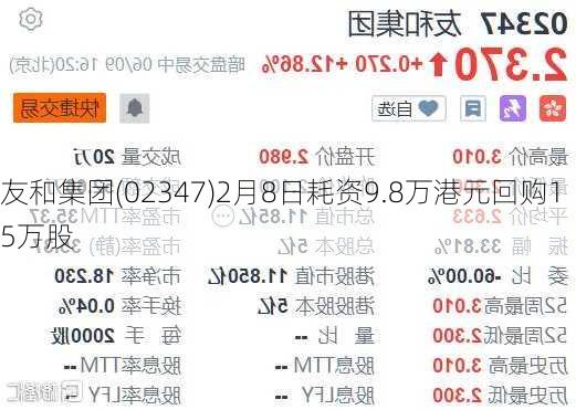 友和集团(02347)2月8日耗资9.8万港元回购15万股-第1张图片-