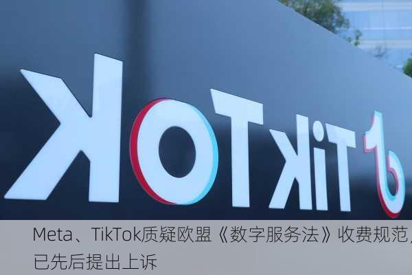 Meta、TikTok质疑欧盟《数字服务法》收费规范，已先后提出上诉-第2张图片-