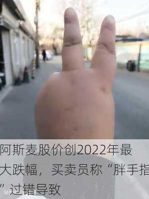 阿斯麦股价创2022年最大跌幅，买卖员称“胖手指”过错导致-第1张图片-