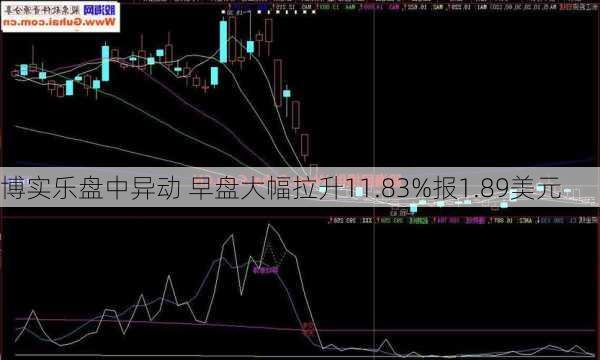 博实乐盘中异动 早盘大幅拉升11.83%报1.89美元-第3张图片-