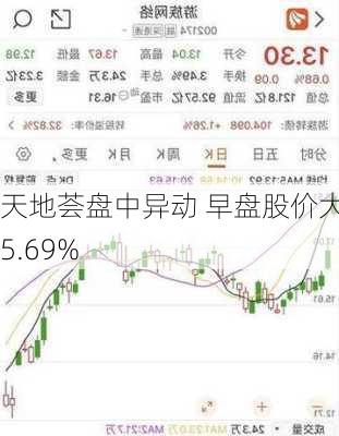 天地荟盘中异动 早盘股价大跌5.69%-第3张图片-