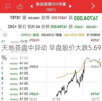 天地荟盘中异动 早盘股价大跌5.69%-第2张图片-