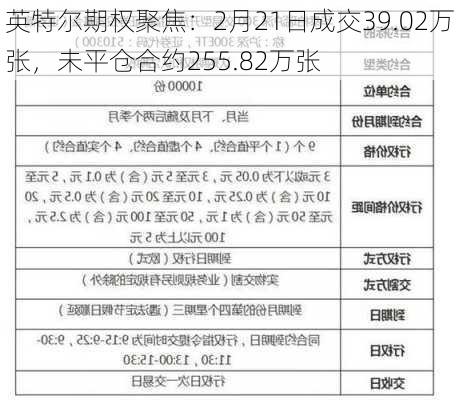 英特尔期权聚焦：2月21日成交39.02万张，未平仓合约255.82万张-第2张图片-