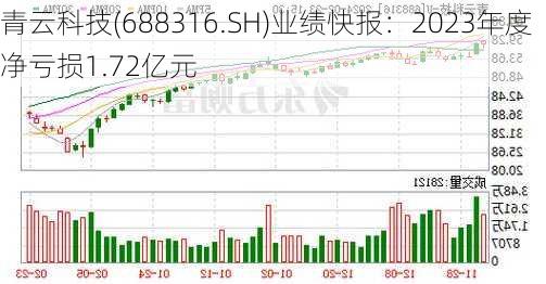 青云科技(688316.SH)业绩快报：2023年度净亏损1.72亿元-第1张图片-