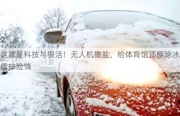 这就是科技与狠活！无人机撒盐，给体育馆顶棚除冰雪排险情-第3张图片-