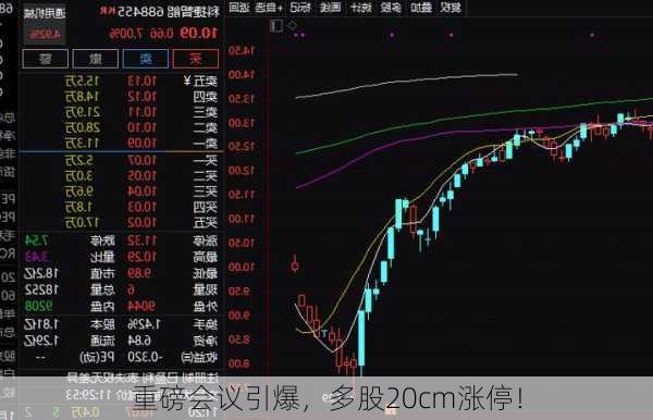 重磅会议引爆，多股20cm涨停！