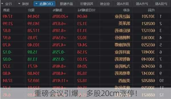 重磅会议引爆，多股20cm涨停！-第2张图片-