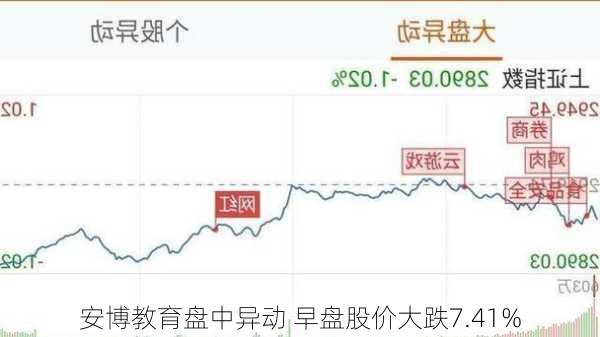 安博教育盘中异动 早盘股价大跌7.41%-第1张图片-