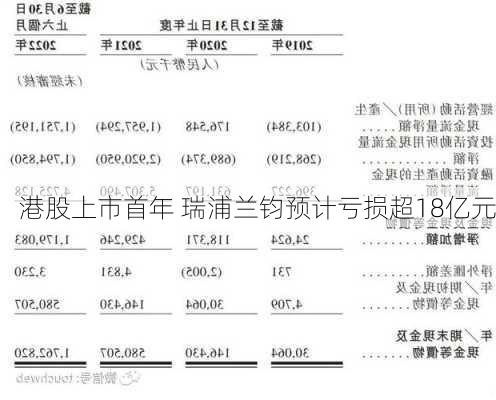 港股上市首年 瑞浦兰钧预计亏损超18亿元-第2张图片-