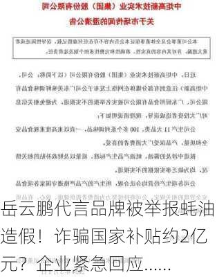 岳云鹏代言品牌被举报蚝油造假！诈骗国家补贴约2亿元？企业紧急回应……-第1张图片-