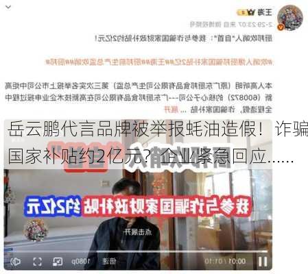 岳云鹏代言品牌被举报蚝油造假！诈骗国家补贴约2亿元？企业紧急回应……-第3张图片-