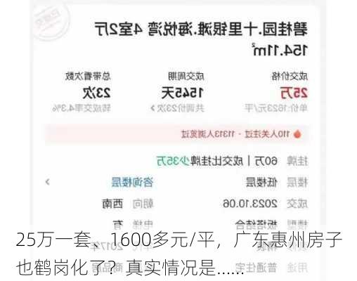 25万一套、1600多元/平，广东惠州房子也鹤岗化了？真实情况是……-第1张图片-