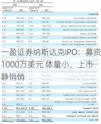 一盈证券纳斯达克IPO：募资1000万美元 体量小，上市静悄悄