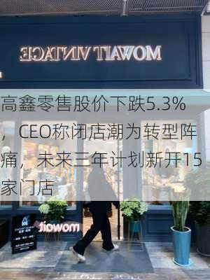 高鑫零售股价下跌5.3%，CEO称闭店潮为转型阵痛，未来三年计划新开15家门店