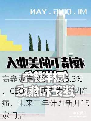 高鑫零售股价下跌5.3%，CEO称闭店潮为转型阵痛，未来三年计划新开15家门店-第2张图片-