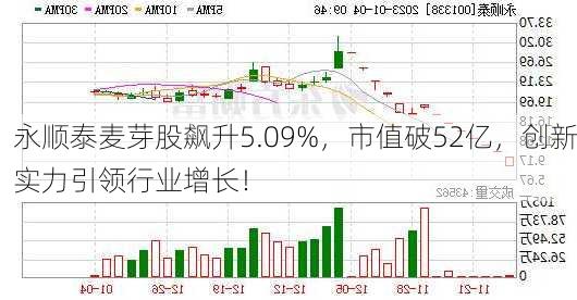 永顺泰麦芽股飙升5.09%，市值破52亿，创新实力引领行业增长！-第1张图片-