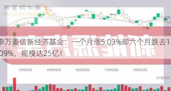 申万菱信新经济基金：一个月涨5.03%却六个月跌去12.09%，规模达25亿！-第2张图片-