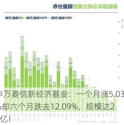 申万菱信新经济基金：一个月涨5.03%却六个月跌去12.09%，规模达25亿！-第1张图片-