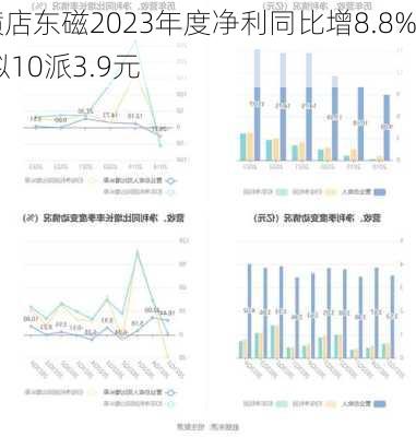 横店东磁2023年度净利同比增8.8% 拟10派3.9元-第1张图片-