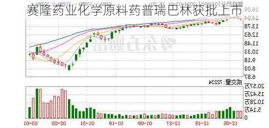 赛隆药业化学原料药普瑞巴林获批上市-第2张图片-