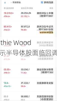 Cathie Wood表示半导体股面临回调风险