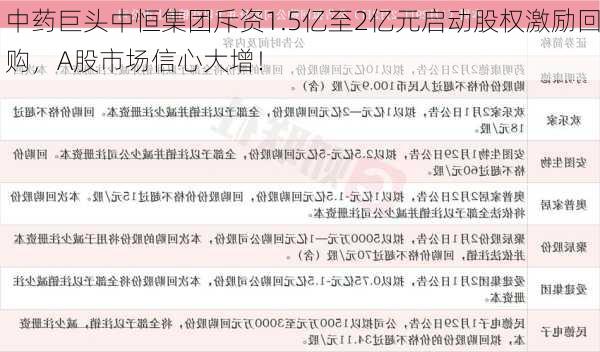 中药巨头中恒集团斥资1.5亿至2亿元启动股权激励回购，A股市场信心大增！-第3张图片-