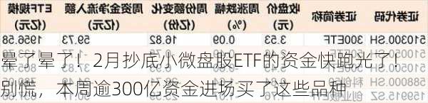 晕了晕了！2月抄底小微盘股ETF的资金快跑光了！别慌，本周逾300亿资金进场买了这些品种