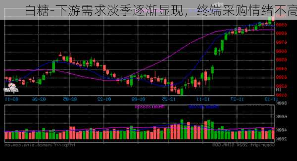 白糖-下游需求淡季逐渐显现，终端采购情绪不高