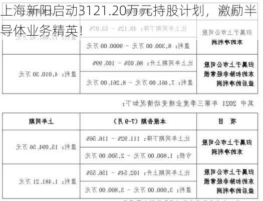 上海新阳启动3121.20万元持股计划，激励半导体业务精英！