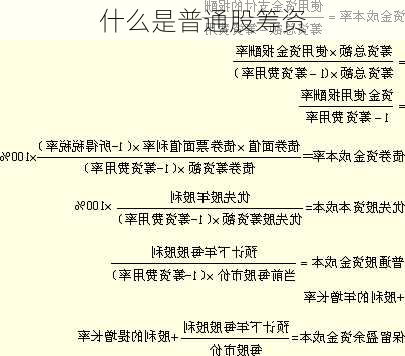 什么是普通股筹资-第1张图片-