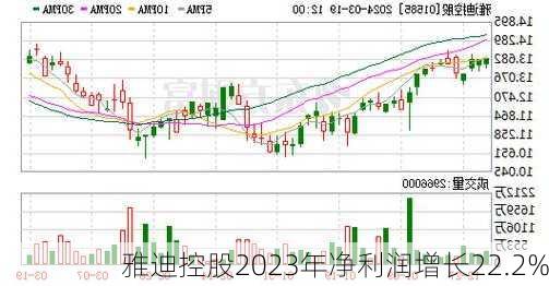 雅迪控股2023年净利润增长22.2%-第1张图片-