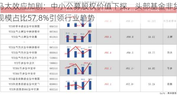 马太效应加剧：中小公募股权价值下探，头部基金非货规模占比57.8%引领行业趋势-第1张图片-