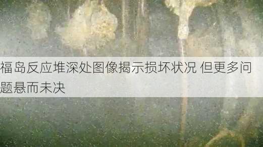 福岛反应堆深处图像揭示损坏状况 但更多问题悬而未决-第1张图片-