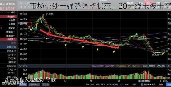 市场仍处于强势调整状态，20天线未被击穿-第2张图片-