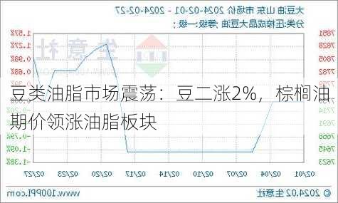 豆类油脂市场震荡：豆二涨2%，棕榈油期价领涨油脂板块