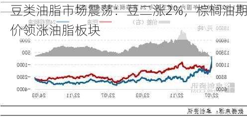 豆类油脂市场震荡：豆二涨2%，棕榈油期价领涨油脂板块-第2张图片-