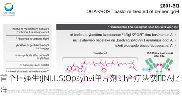 首个！强生(JNJ.US)Opsynvi单片剂组合疗法获FDA批准-第2张图片-