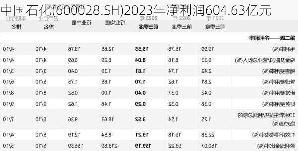 中国石化(600028.SH)2023年净利润604.63亿元-第1张图片-