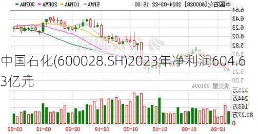 中国石化(600028.SH)2023年净利润604.63亿元-第2张图片-