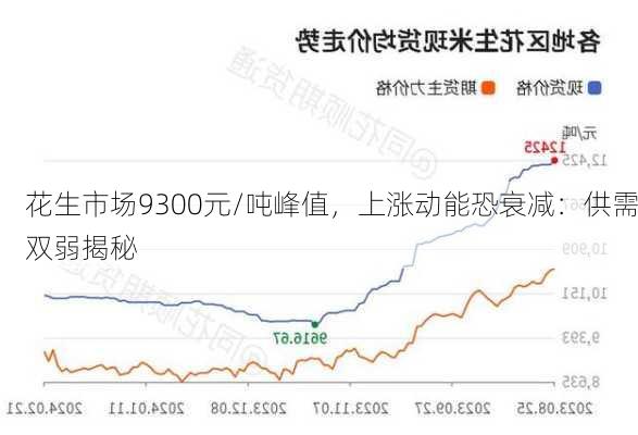 花生市场9300元/吨峰值，上涨动能恐衰减：供需双弱揭秘