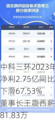 中科三环2023年净利2.75亿同比下滑67.53% 董事长王震西薪酬181.83万-第3张图片-