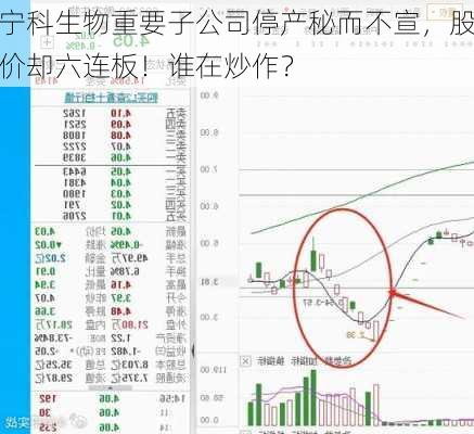 宁科生物重要子公司停产秘而不宣，股价却六连板！谁在炒作？-第3张图片-