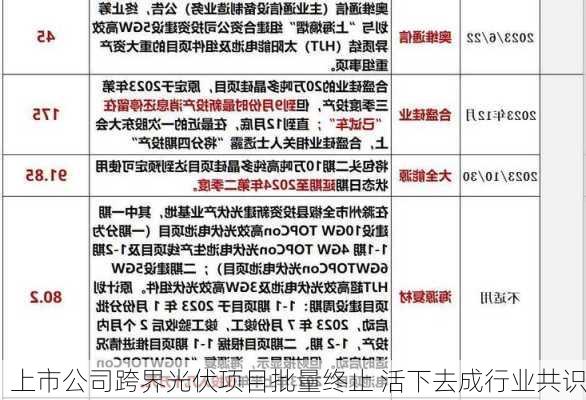 上市公司跨界光伏项目批量终止 活下去成行业共识-第2张图片-