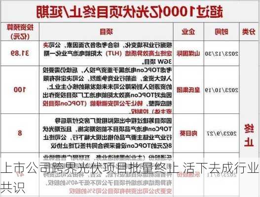 上市公司跨界光伏项目批量终止 活下去成行业共识-第3张图片-