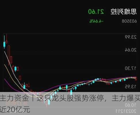 主力资金丨这只龙头股强势涨停，主力爆买近20亿元-第2张图片-