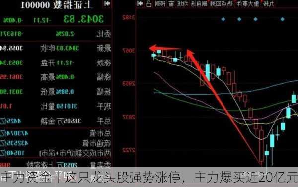 主力资金丨这只龙头股强势涨停，主力爆买近20亿元-第3张图片-