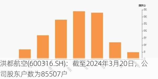 洪都航空(600316.SH)：截至2024年3月20日，公司股东户数为85507户-第1张图片-