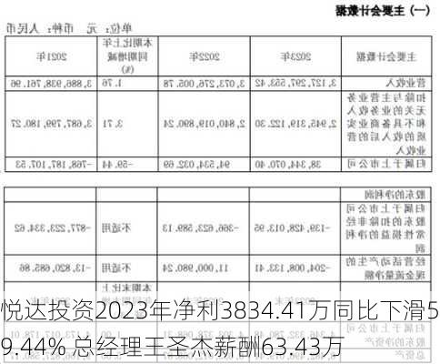 悦达投资2023年净利3834.41万同比下滑59.44% 总经理王圣杰薪酬63.43万-第1张图片-